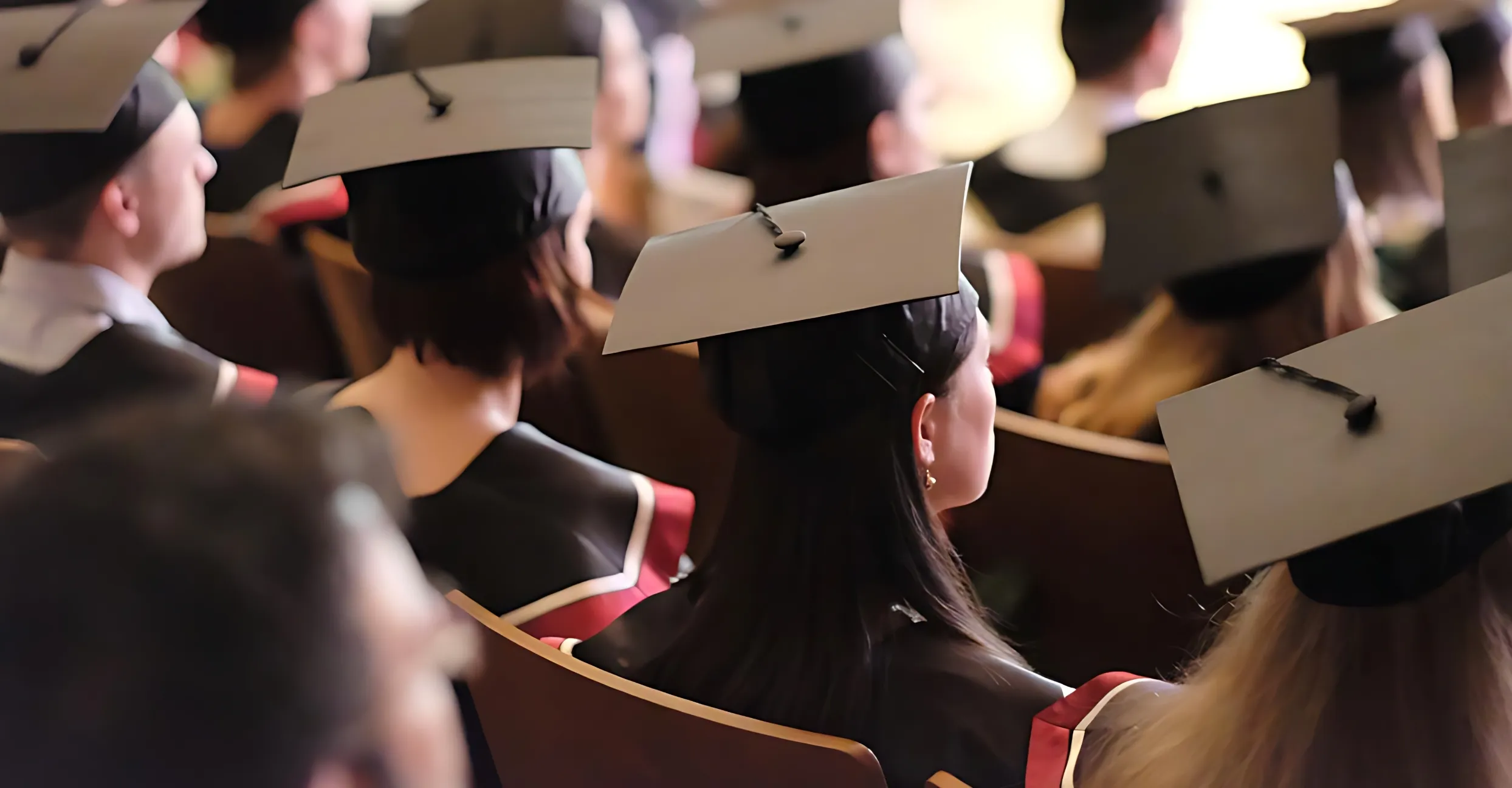 An academic advisor guiding a student